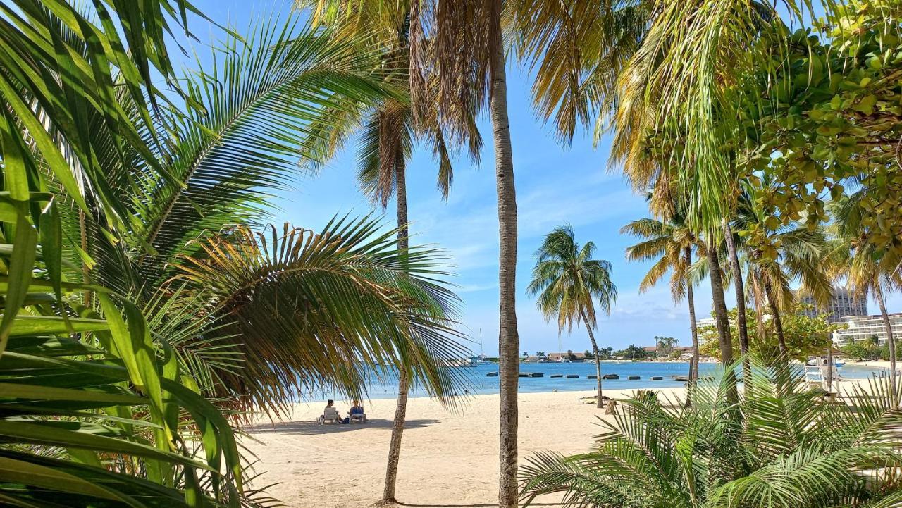 Beach Studio 20 Ocho Rios Exterior photo